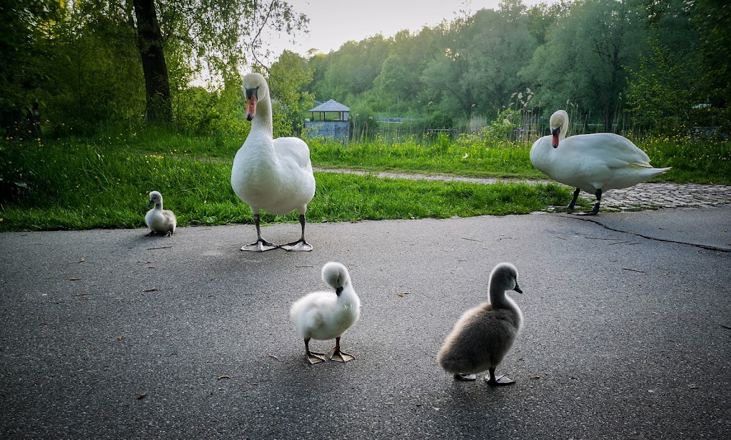 Engelhalde Park - Foto 1