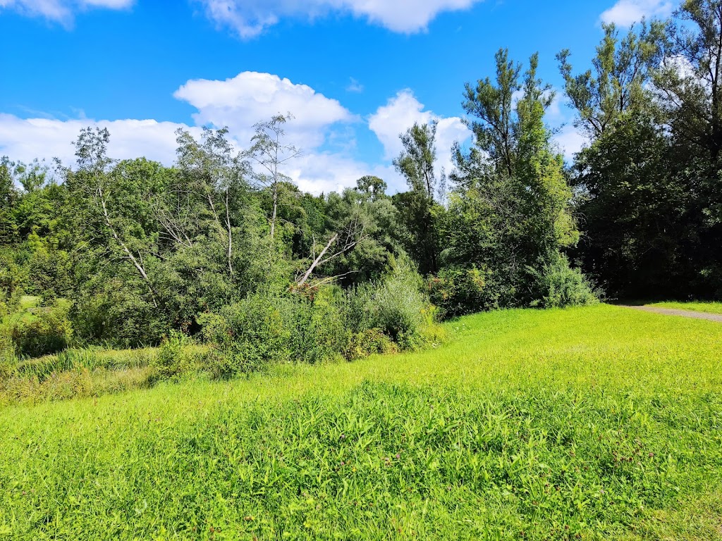 Engelhalde Park - Foto 1