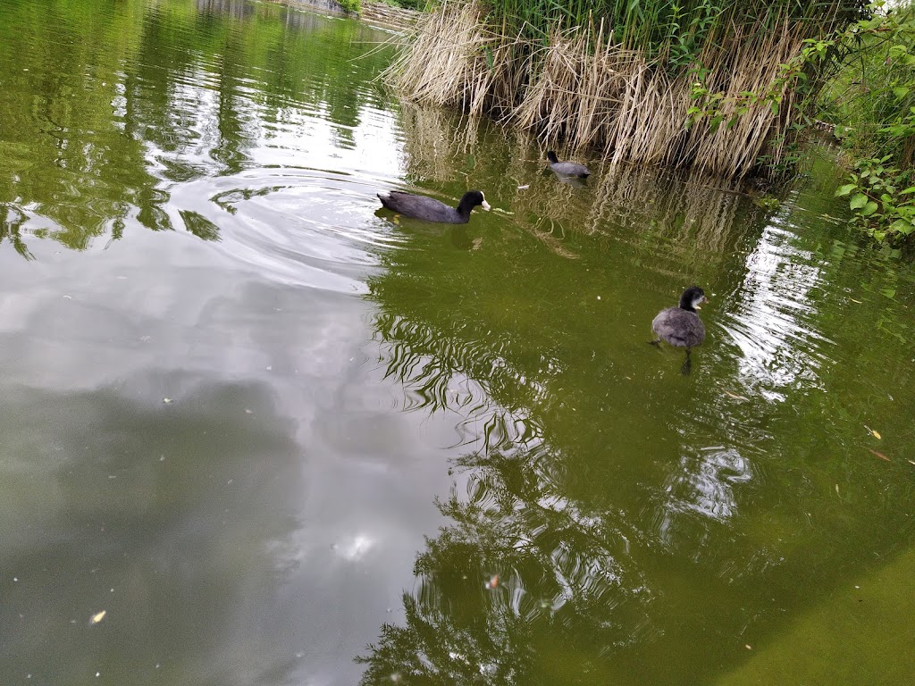 Engelhalde Park - Foto 1