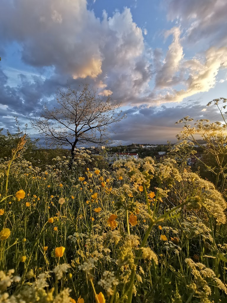 Engelhalde Park - Foto 10