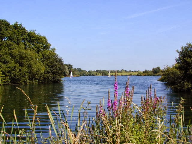 Dinton Pastures Country Park - Foto 1