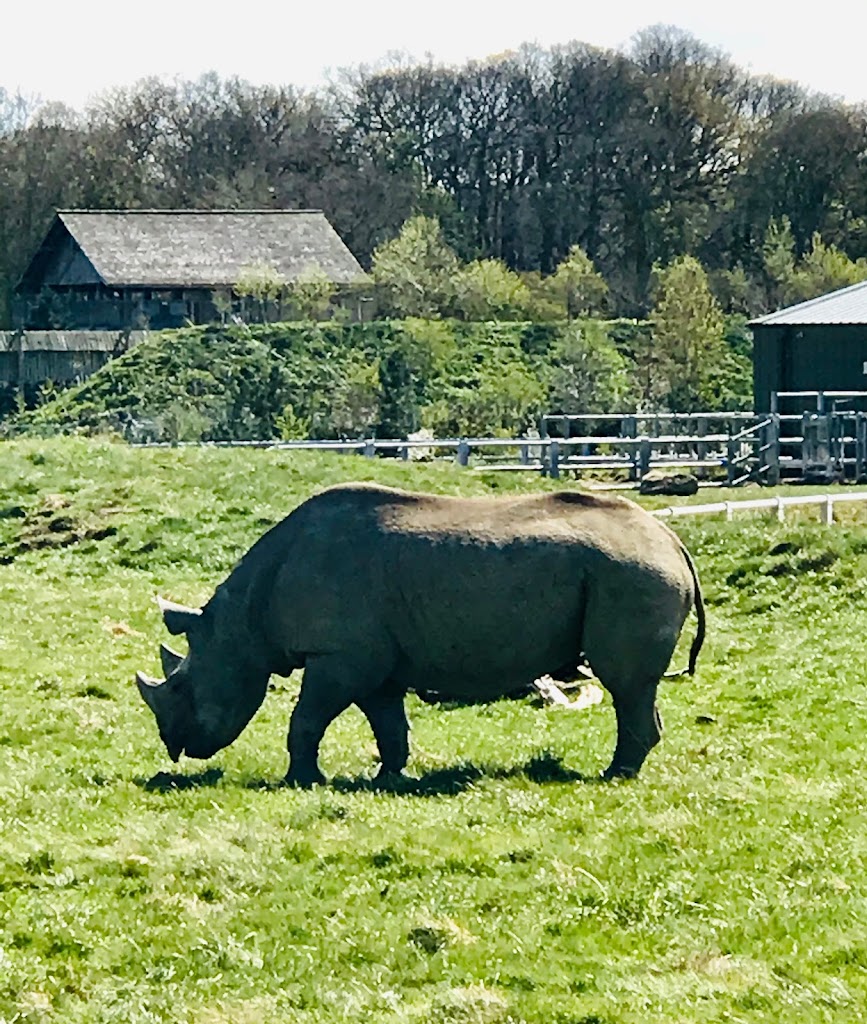 Yorkshire Wildlife Park - Foto 5