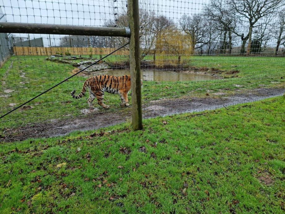 Yorkshire Wildlife Park - Foto 6