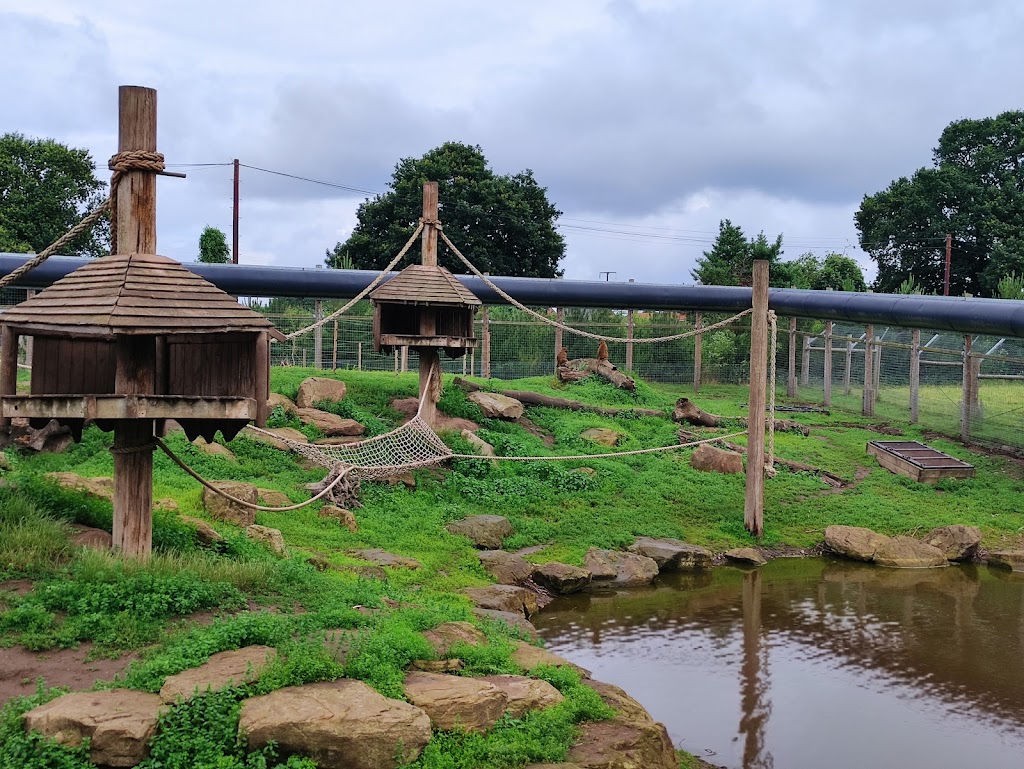 Yorkshire Wildlife Park