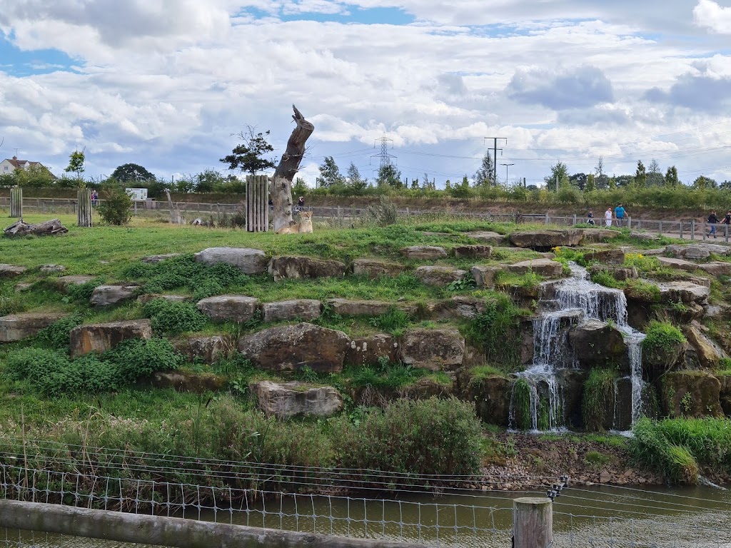 Yorkshire Wildlife Park - Foto 1