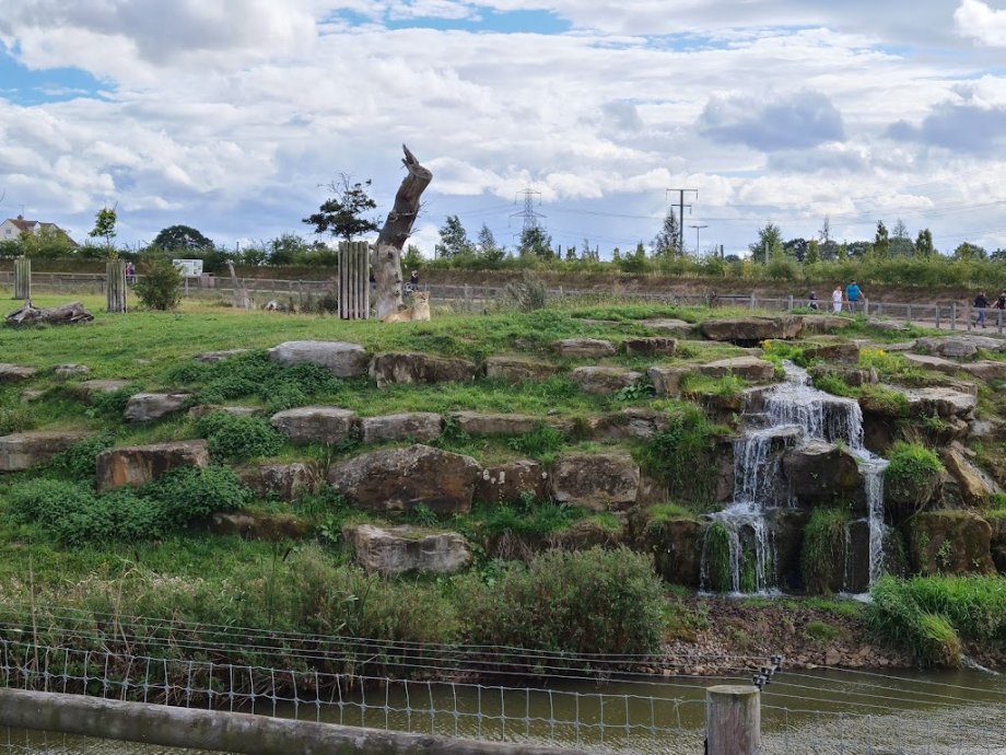 Yorkshire Wildlife Park - Foto 10