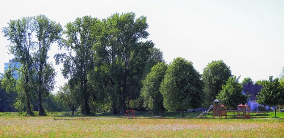 Spielplatz Ostheimer Strasse - Foto 4