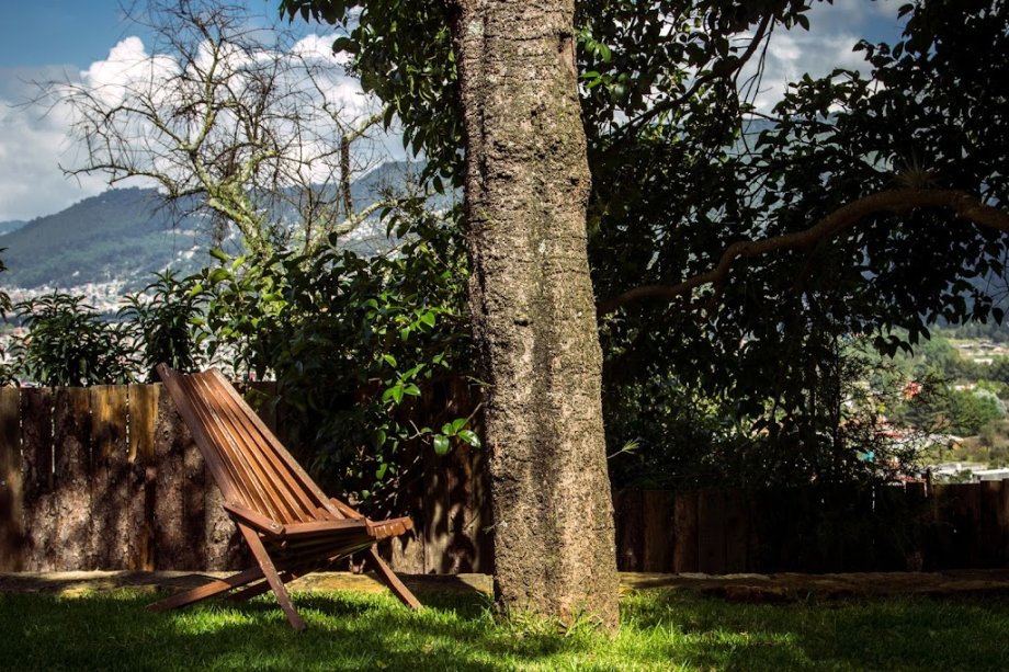 El Jardín de las Delicias - Foto 10