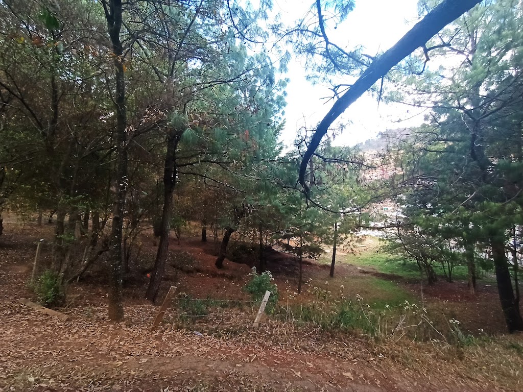 Parque Cuxtitali - Foto 1