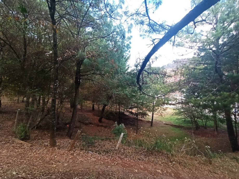 Parque Cuxtitali - Foto 2