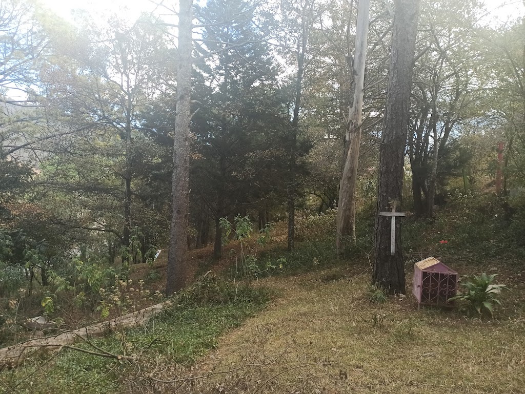 Parque Cuxtitali - Foto 1