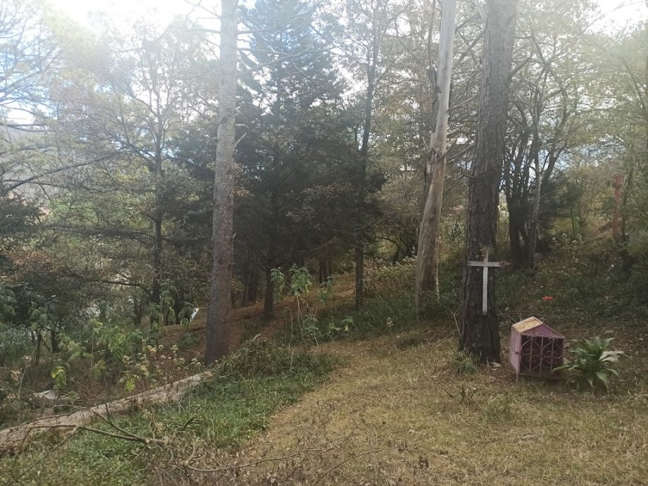 Parque Cuxtitali - Foto 3