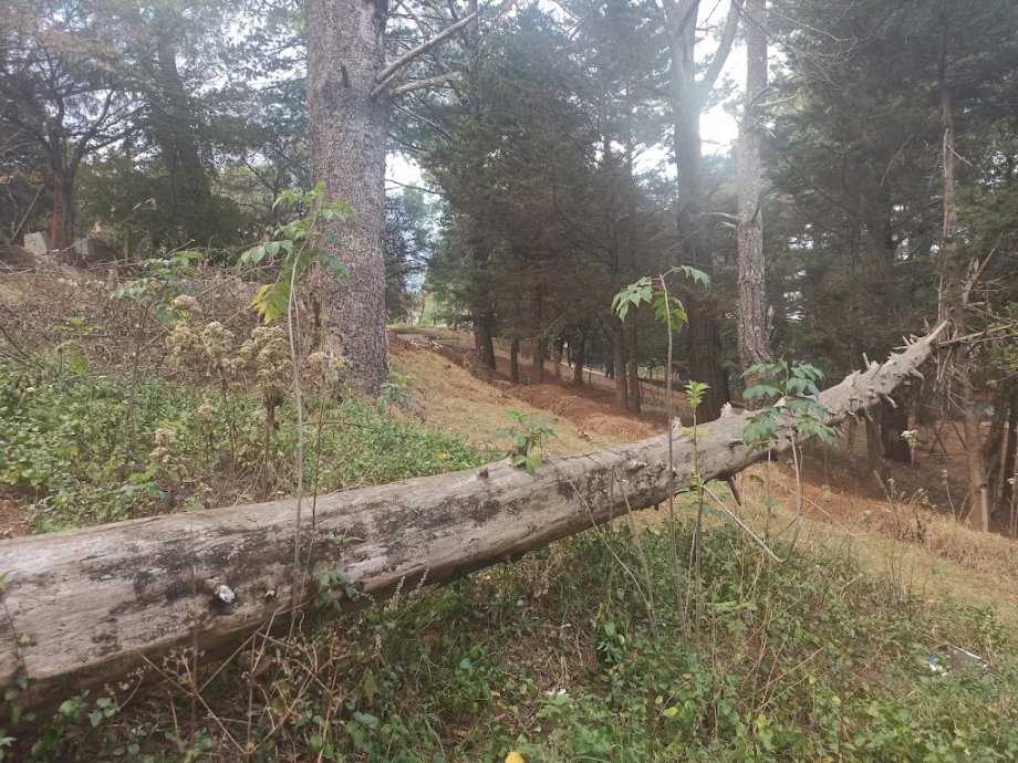 Parque Cuxtitali - Foto 4