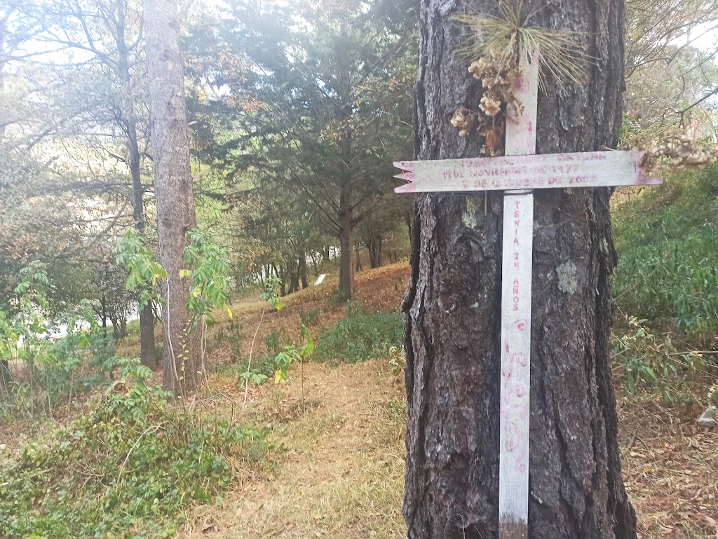 Parque Cuxtitali - Foto 1