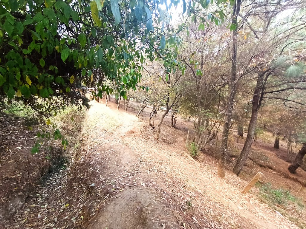 Parque Cuxtitali - Foto 1