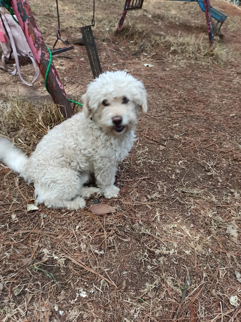 Parque Cuxtitali - Foto 9