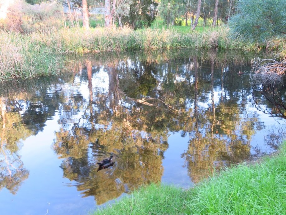 Edinburgh Reserve - Foto 6