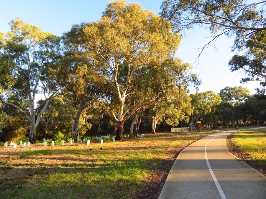 Edinburgh Reserve - Foto 7