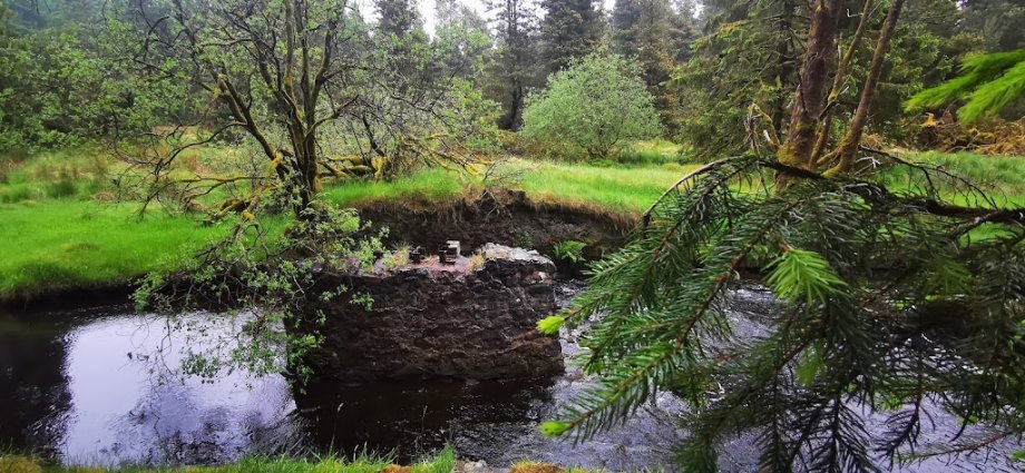 Davagh Forest - Foto 2