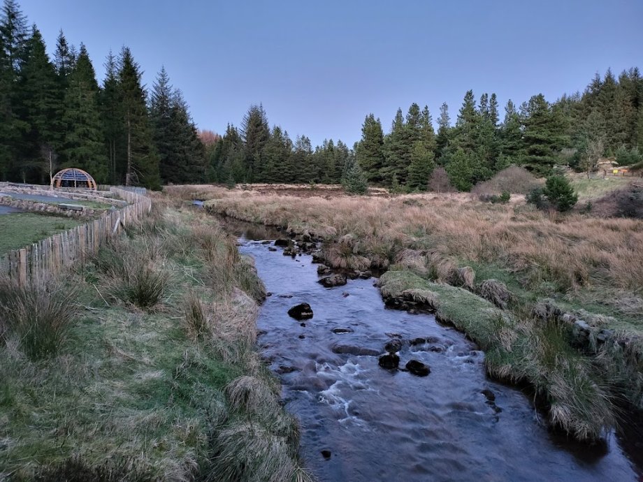 Davagh Forest - Foto 3