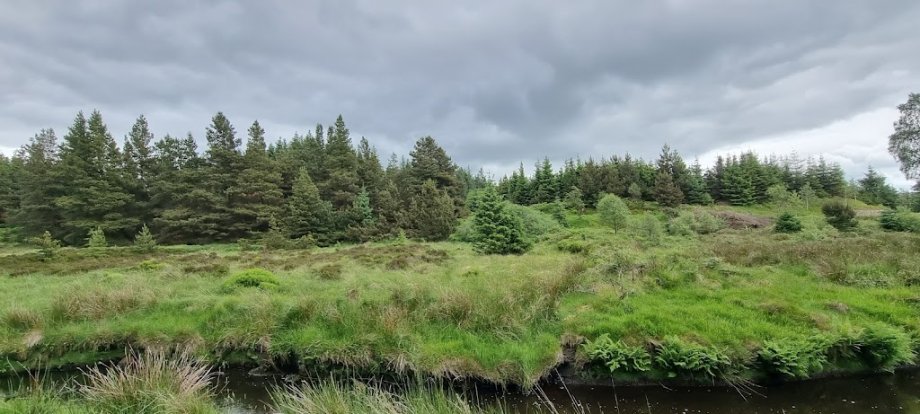 Davagh Forest - Foto 4