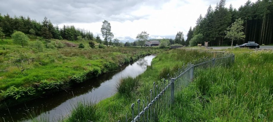 Davagh Forest - Foto 9