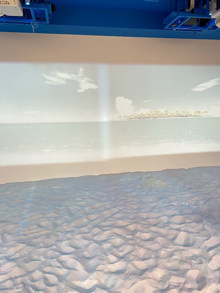 Tienda Play Park PLUS Odawara Dynacity - Foto 10