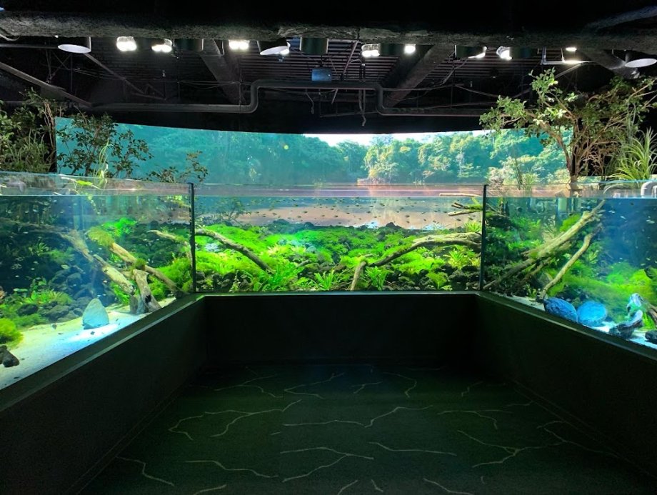 Kawasui Kawasaki Aquarium - Foto 2