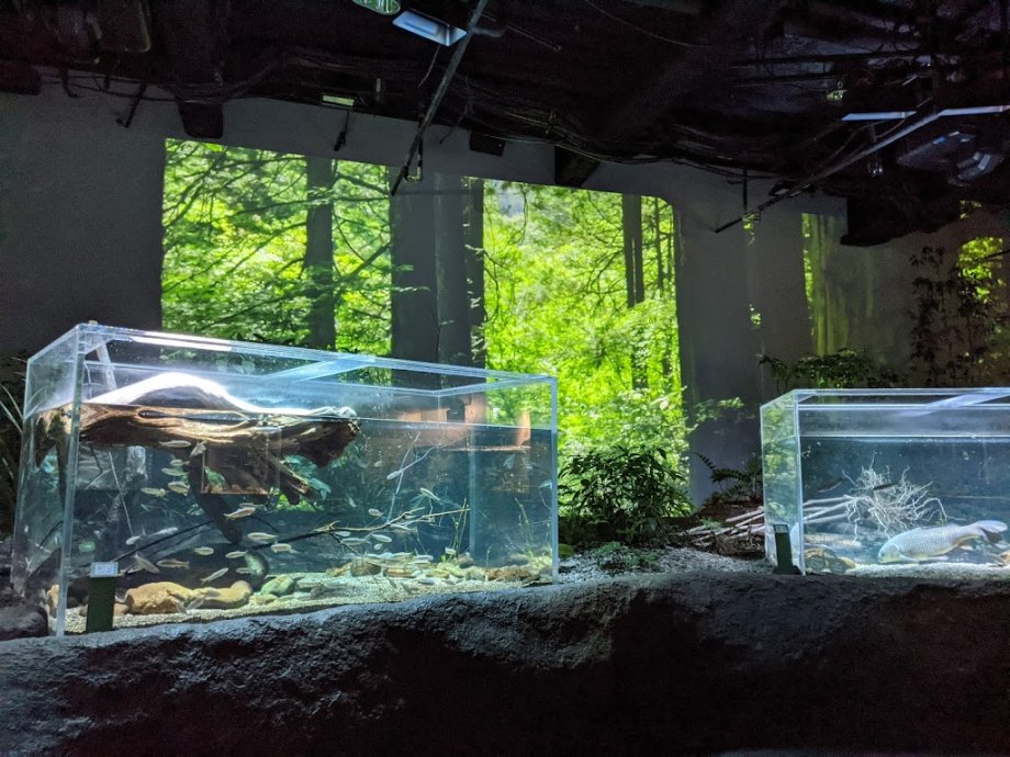 Kawasui Kawasaki Aquarium - Foto 3