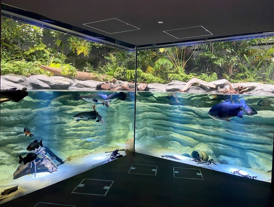 Kawasui Kawasaki Aquarium - Foto 4