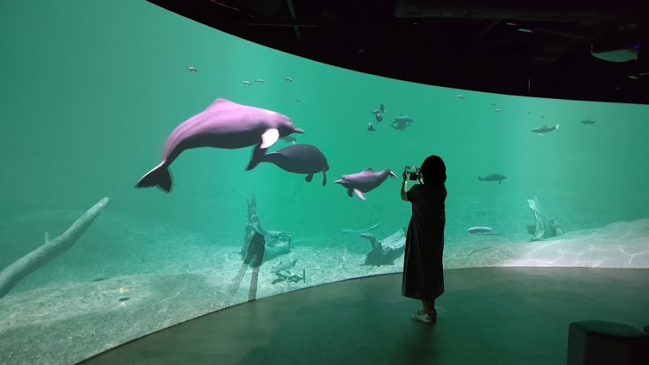 Kawasui Kawasaki Aquarium - Foto 7