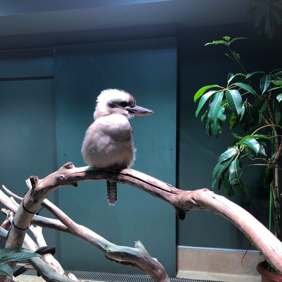 Kawasui Kawasaki Aquarium - Foto 9