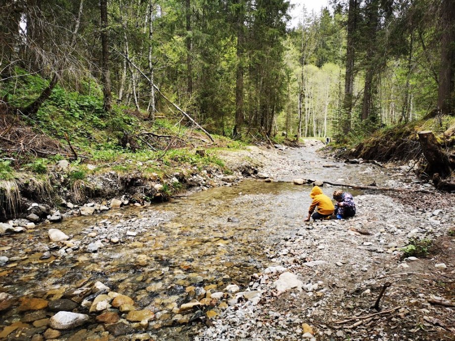 Waldspielplatz - Foto 6