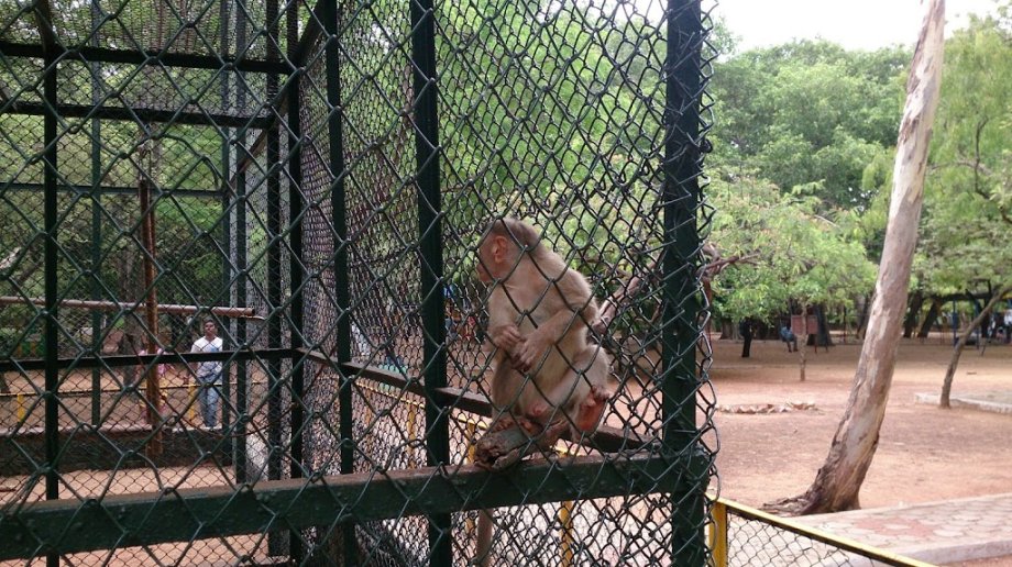 Childrens Park - Foto 2