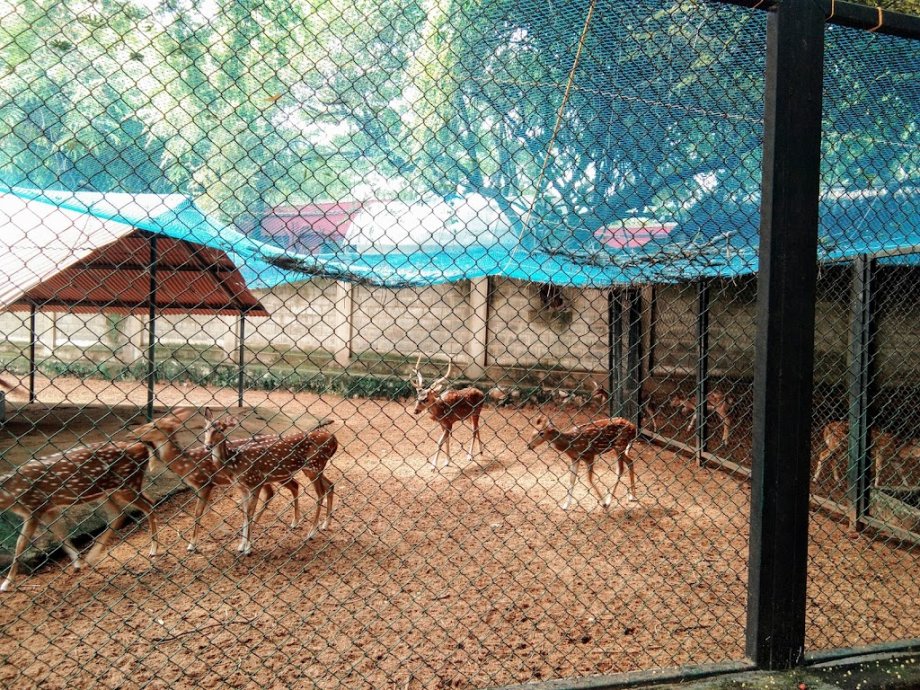 Childrens Park - Foto 3