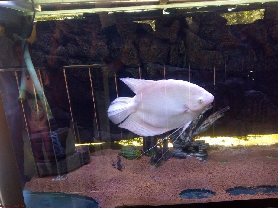 Childrens Park - Foto 5