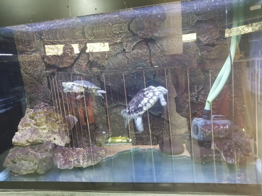 Childrens Park - Foto 8