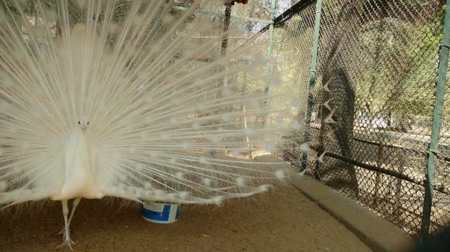 Childrens Park - Foto 9