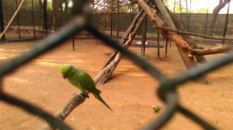 Childrens Park - Foto 10