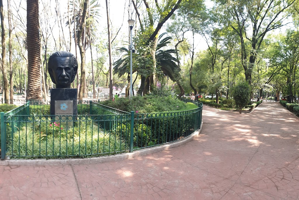 Parque México 5