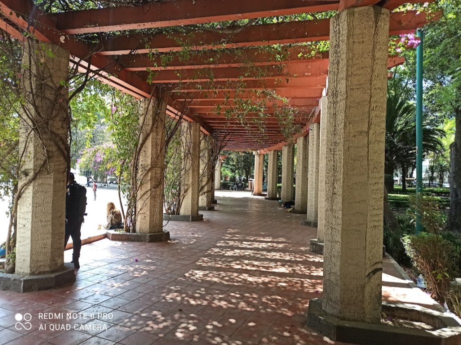 Parque México - Foto 6