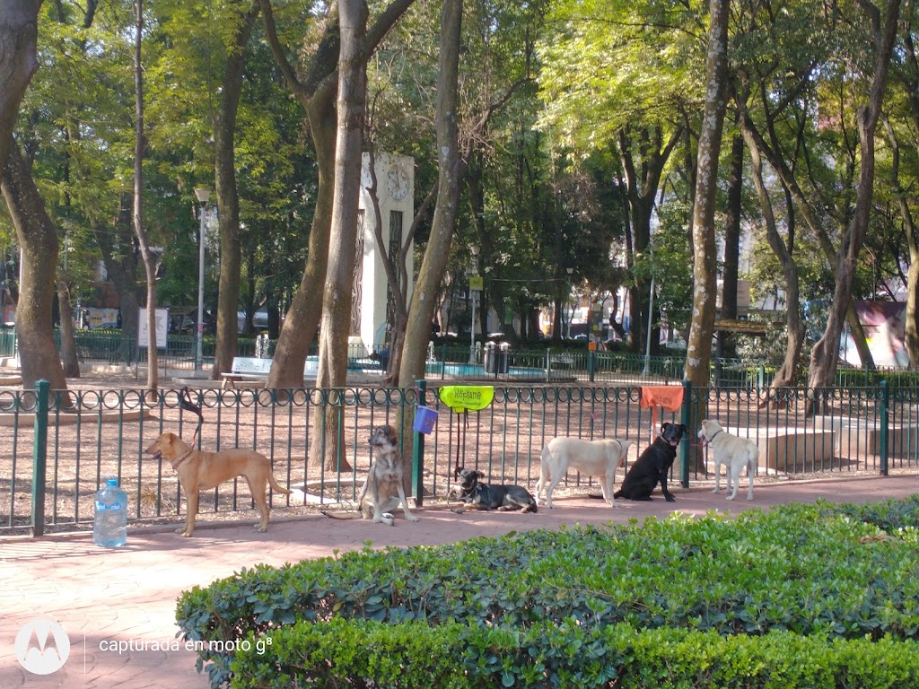 Parque México 8