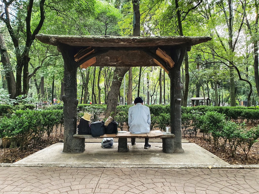 Parque México - Foto 1
