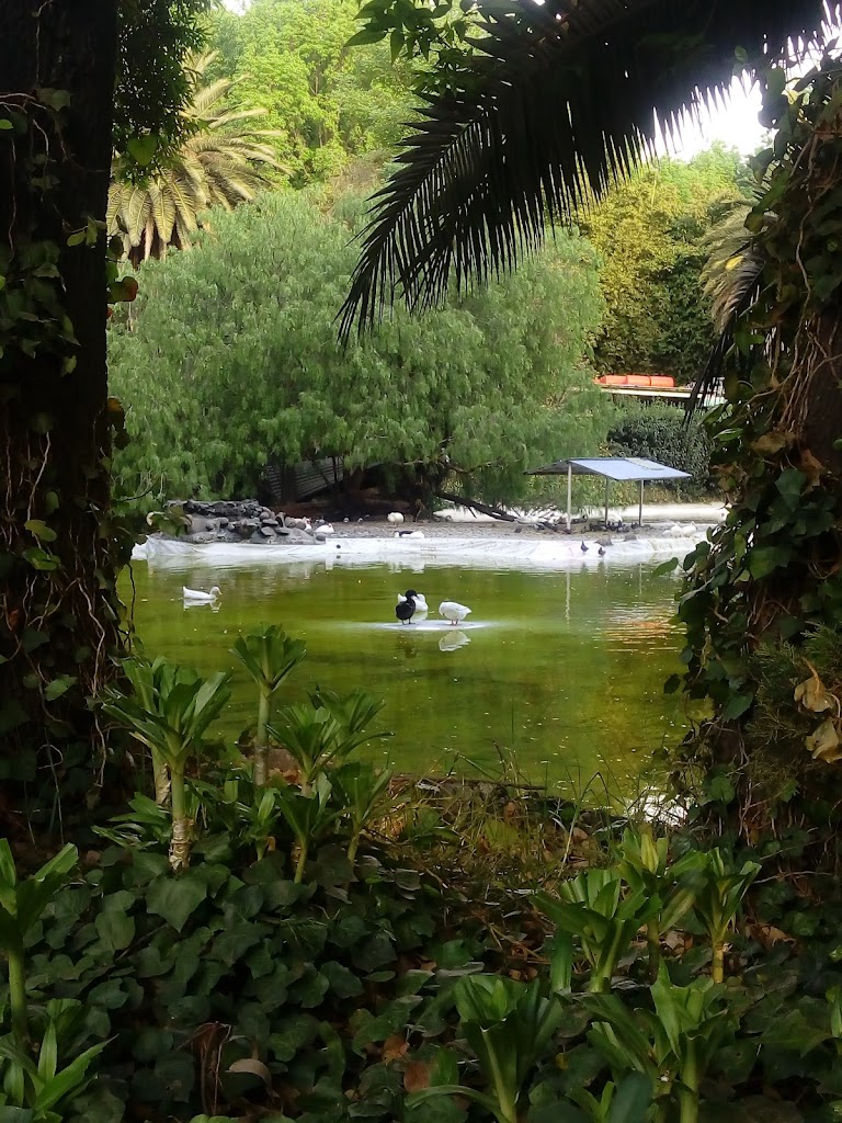 Parque México - Foto 10