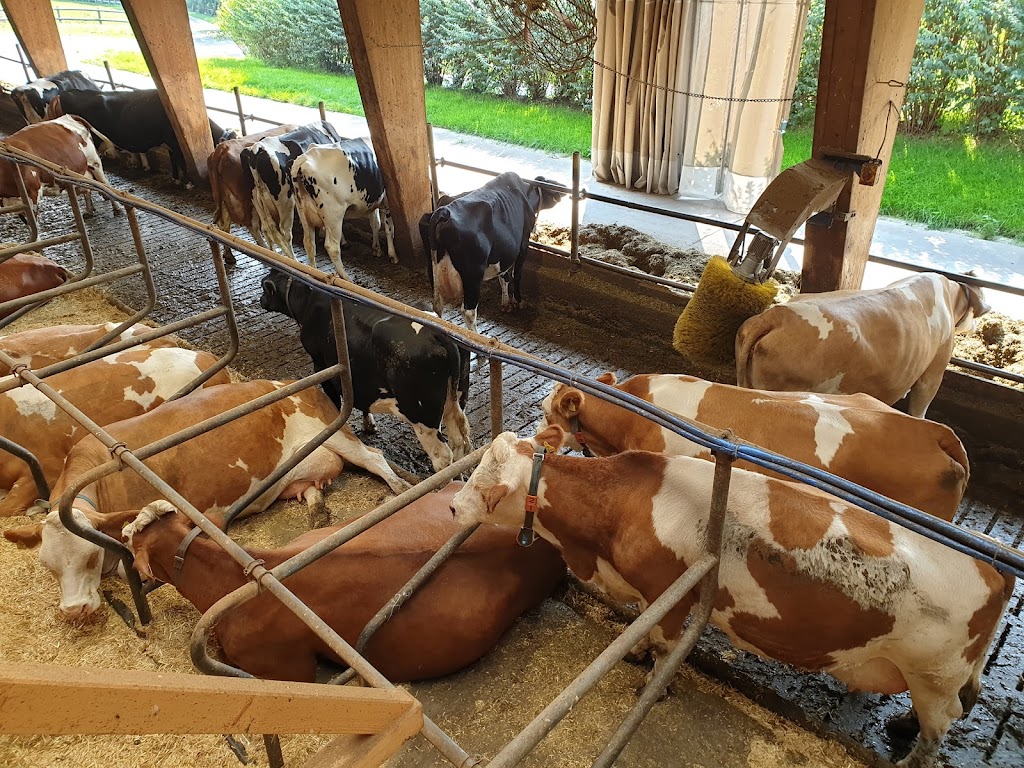 Eis-Greissler Manufaktur - Foto 1