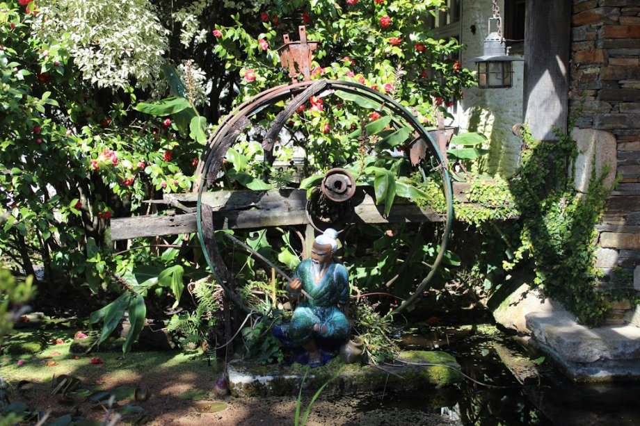 Jardín botánico Fundación Sales - Foto 10