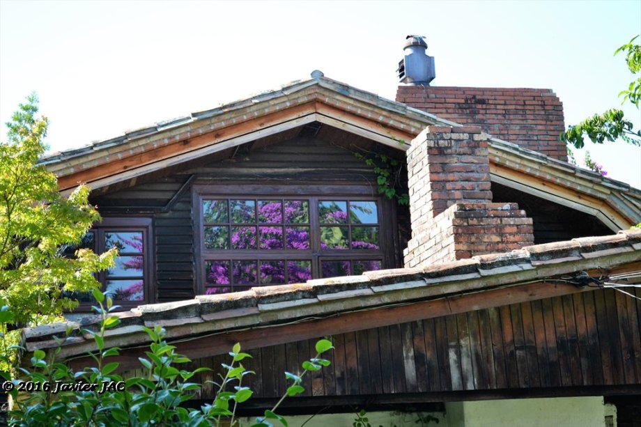 Jardín botánico Fundación Sales - Foto 3