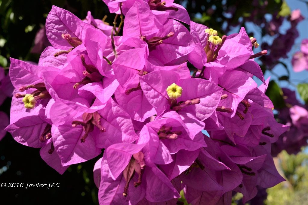 Jardín botánico Fundación Sales 22