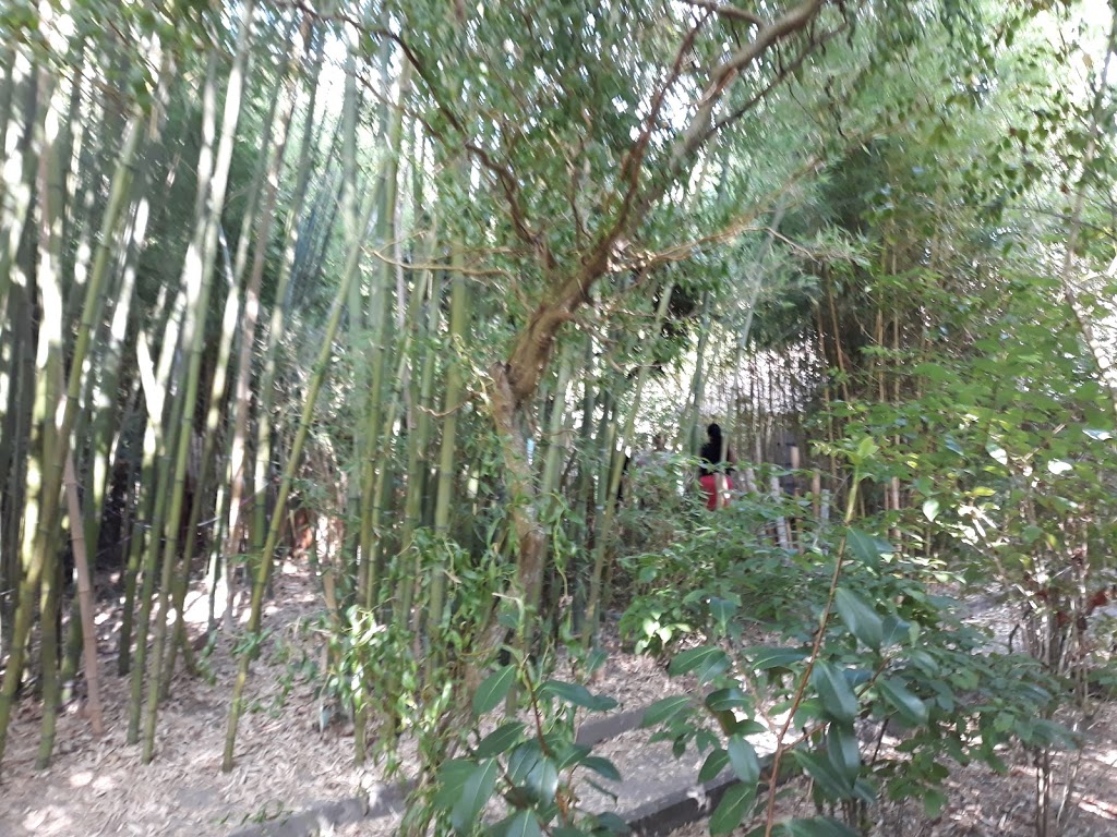 Jardín botánico Fundación Sales 11