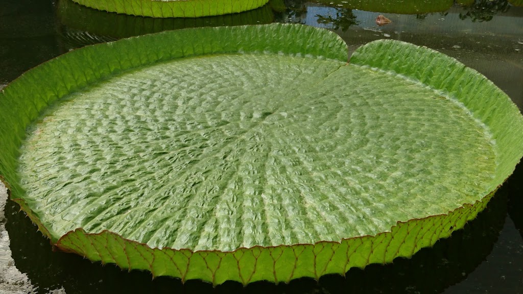 Jardín botánico Fundación Sales - Foto 1